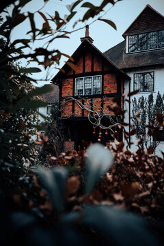 Vertical Shot Of Beautiful House With Tree Branches In The Foreground