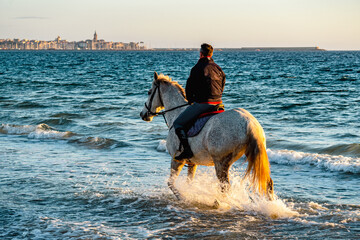 Beautiful shot of a man riding a white horse on the sea in Sardegna, Italy