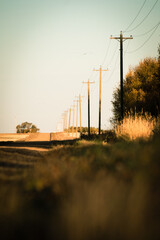 Vertical shot of row of power line poles in the field under sunlight
