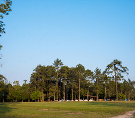 Obraz premium Camping ground, Phu Kradueng National Park, Thailand 002