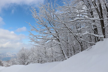 Snow scene at Kartepe Mountain, Izmit, Turkey