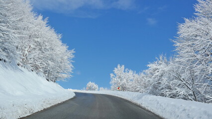 Snow scene at Kartepe Mountain, Izmit, Turkey