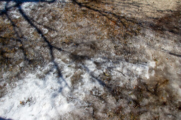 Abstract texture background of a hard frozen snow and ice covered lawn with bare tree shadows in late winter