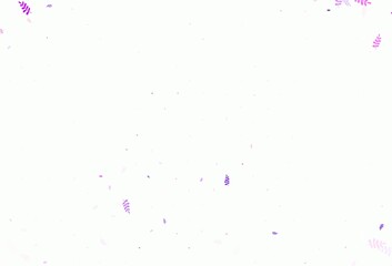 Light Purple vector elegant template with leaves.