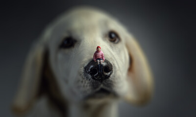 Little girl on dog nose . Mixed media