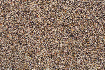 The sandy surface. The texture of the sea shore.