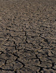 Earth cracked because of drought. The global shortage of water on the planet. Global warming concept. Dry cracks in the land.
