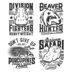 Hunt safari, sport team and fight club shirt prints, vector animal heads emblems. African hunting, fighting sport and athletics varsity club badges with beaver, porcupine and hippopotamus mascot