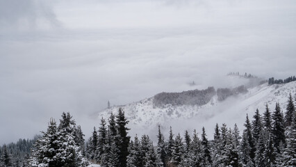 Snow-white mountains in the fog