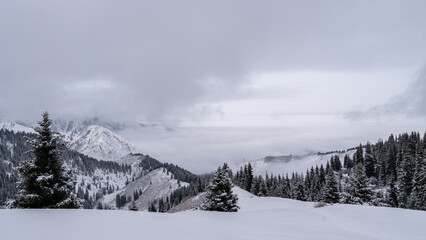 Snow-white mountains in the fog