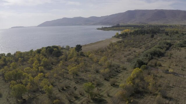 Aerial, Along The Sevan Lake, Armenia
