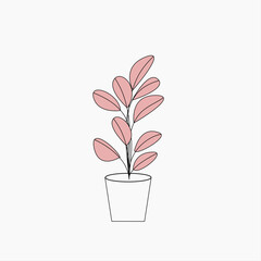 pink flower in a pot