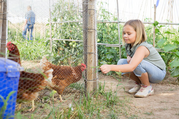 Teenage girl squatting near the chicken coop, watching the hens