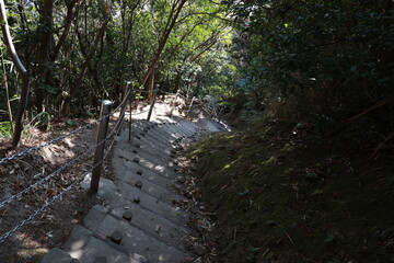 林の中の狭い階段