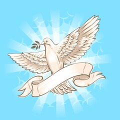 dove flying in the sky illustration