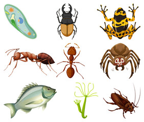 Obraz premium Different kinds of insects and animals on white background