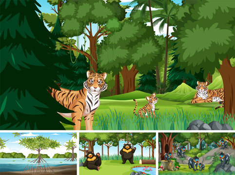 Different forest scenes with wild animals