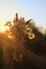 A girl holds a bouquet of daisies against the sunset.