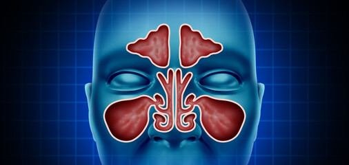 Health sinus nasal cavity with a frontal view of a nose as a medical concept