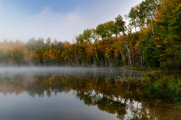 550-05 Red Jack Autumn Mist
