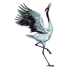 Japanese crane bird vintage watercolor illustration.