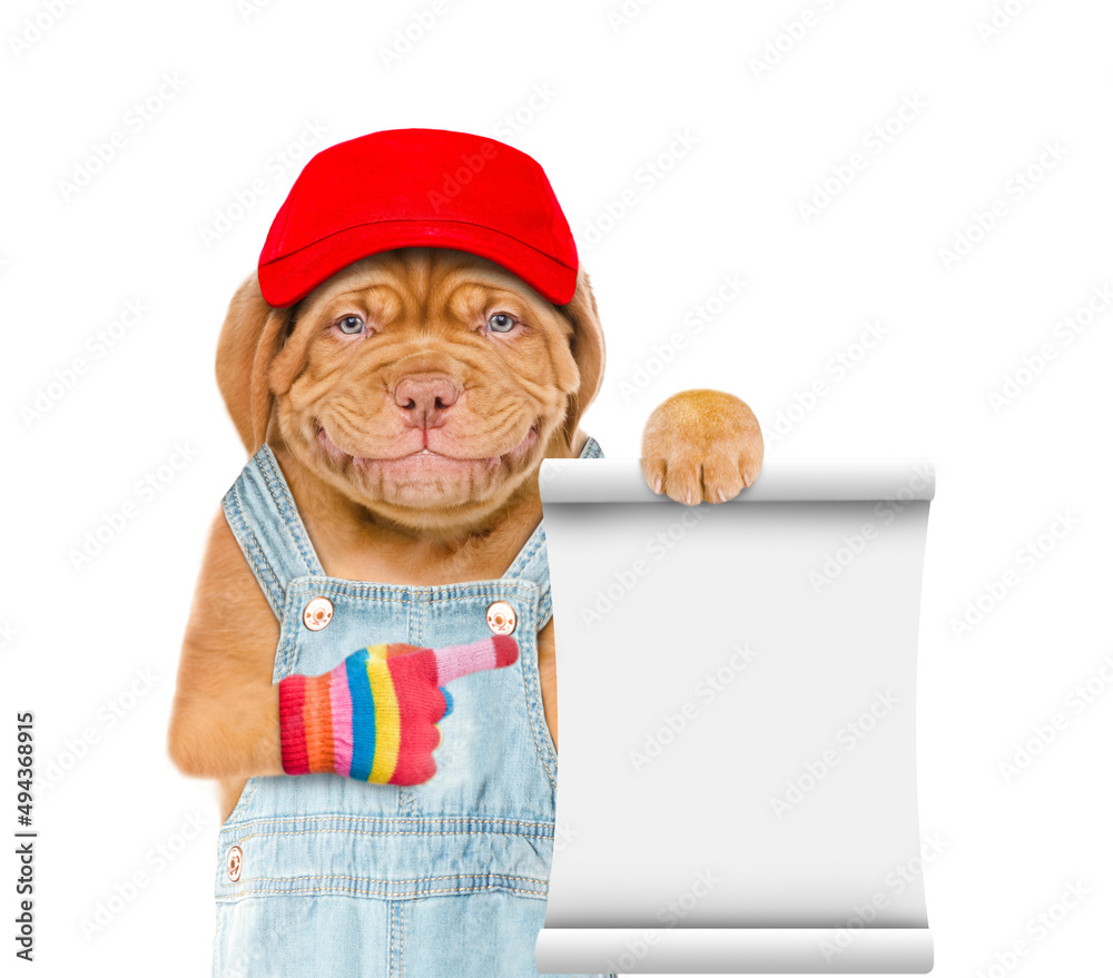 Poster Puppy wearing blue cap and overalls points on empty list. Isolated on white background