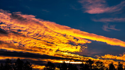 colorful dramatic sky with clouds, smoking cumulonimbus clouds reflect the golden light of the dawn sun.	
