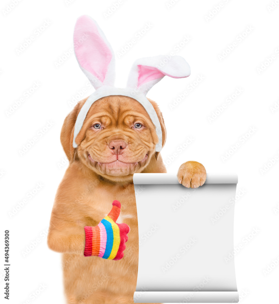 Poster Smiling puppy wearing easter rabbits ears shows empty list and thumbs up gesture. Isolated on white background