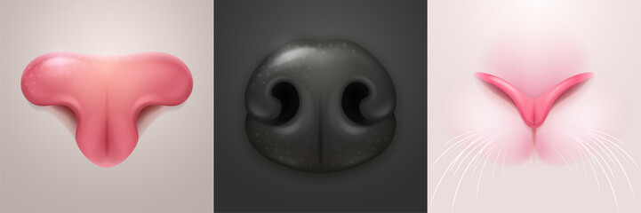 Cute noses of cat, dog and rabbit, closeup of pet snout. Vector realistic illustrations of part of white kitten, bunny and black puppy face. Pink and black noses of domestic animals