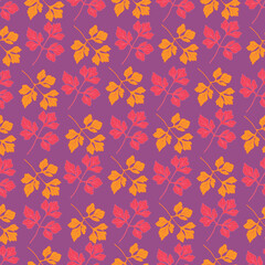 Obraz premium Parsley colorful seamless trendy pattern