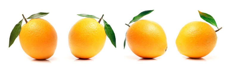 Orange fruit on the white background