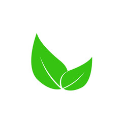 Green leaf fresh icon on white background, the best icon of green leaf style, element of leaves for green, growth, spring, new life, nature, fresh, vector and illustration