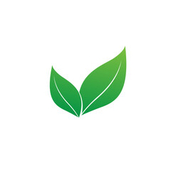 Two green leaves symbole on a white background, grdient green, icons, logo, object, spring and growing concept design