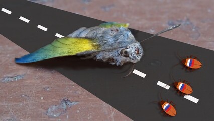 Moth on the runway as a parable of Ukrainian territory and russian attacking. Cockroach with...