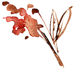 Cutout Flower Illustration. High quality photo