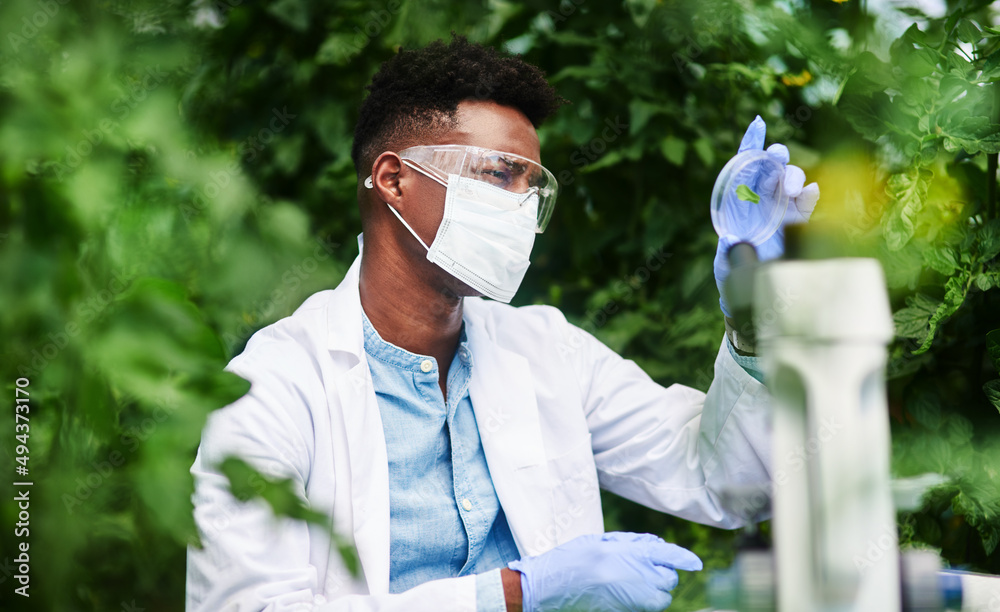 Aufkleber just taking a closer look at things. shot of a young botanist using a magnifying glass to look at a 