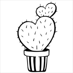 Cute hand drawn vector cactuse in the pot