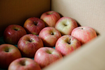 Fuji apples sitting on a paper tray in a cardboard box