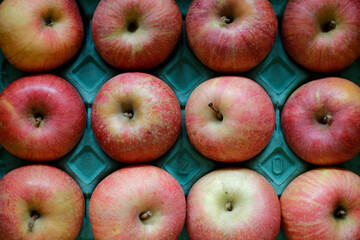 Top view of Fuji apples sitting on a green paper tray