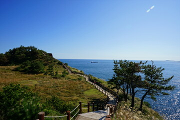 Fototapeta na wymiar fascinating seaside walkway against blue sea and sky