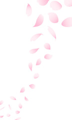 シンプルで美しい桜吹雪のベクターイラスト