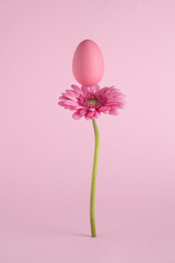 Creative Easter egg with pink fresh flower. Minimal holiday or nature concept. © PasAI Photography