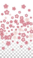 Vector Realistic Pink Flowers Falling on Transparent Background.  Spring Romantic Flowers Illustration. Flying Petals. Sakura Spa Design. Blossom Confetti. Design Elements for Wedding Decoration.