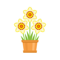 White daffodils in pot. Vector flower simple icon. Flat spring illustration.