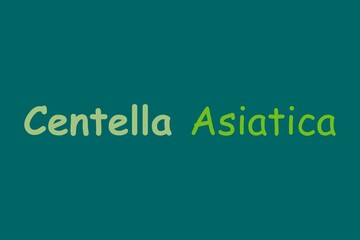 Fototapeta premium Centella Asiatica medicinal element typography text vector design. Medical science conceptual poster, banner,&nbsp; and t-shirt design.