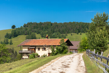 Fototapeta na wymiar Ruine eines Bauernhofs bei Deutschnofen, Südtirol