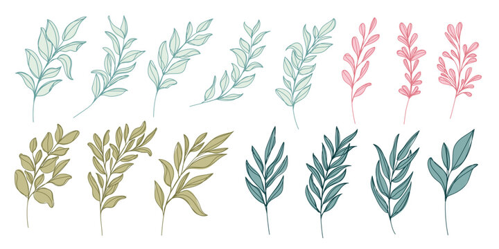 Line art leaf illustration vector on white background	
