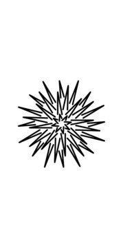 Basic Pattern of Sea Urchin Ornament 