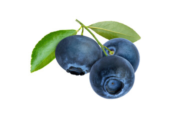 blueberries isolated on white background