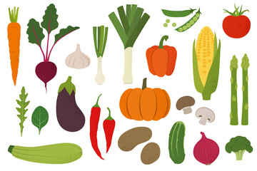 Vegetables. Tasty healthy food, organic, vegan. Flat vector illustration. Carrot, beet, garlic, onion, leek, pepper, peas, arugula, spinach, eggplant, chili, pumpkin, champignon, asparagus, zucchini.